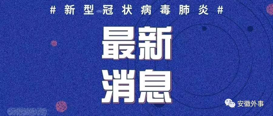 安徽新型肺炎最新情況，背景、事件與影響概述