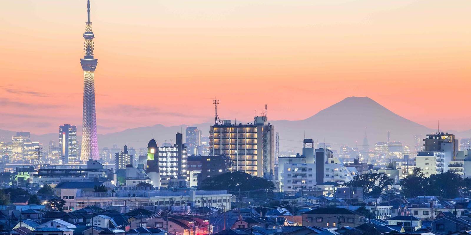 東京疫情最新人數，自然療愈與內心平靜的尋找之旅