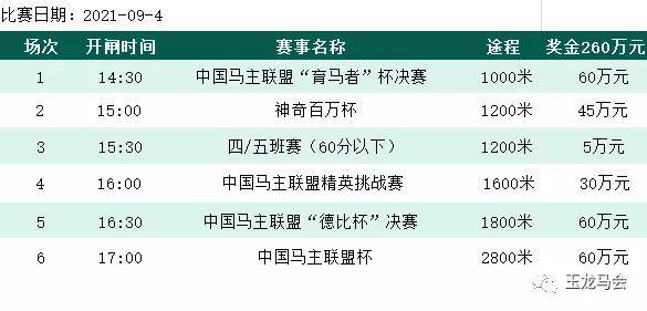 今晚9點(diǎn)30分的特馬,策略規(guī)劃_設(shè)計師版98.899