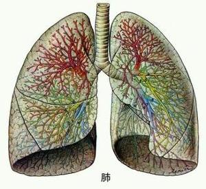 最新肺感染