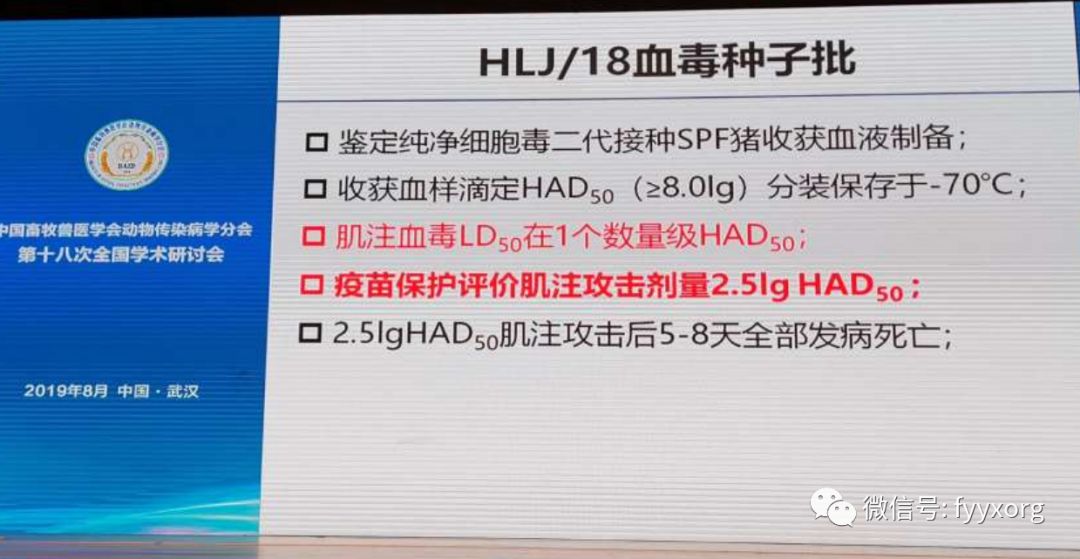 最新瘟疫進(jìn)展更新，疫情動(dòng)態(tài)與最新消息