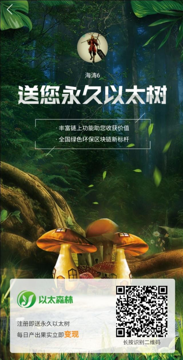 以太森林最新論述揭秘，現象與觀點探討