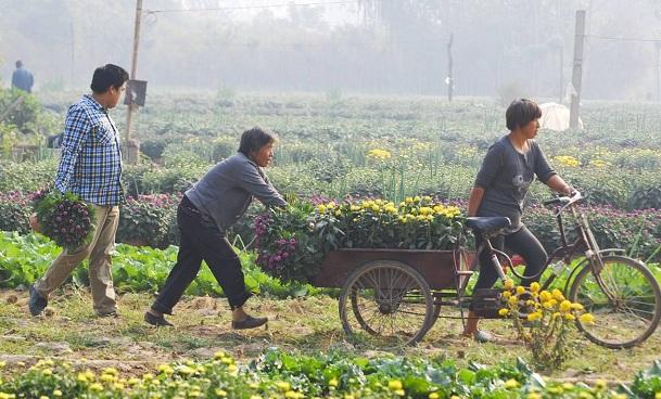 最新糧食之旅，與自然美景的愜意遨游