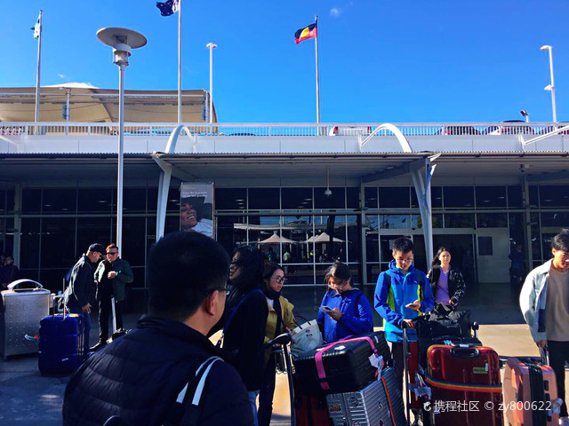 悉尼回國最新動態(tài)，自然探索之旅，尋找內(nèi)心平和的旅程